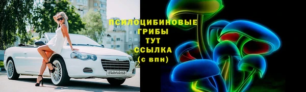 ECSTASY Лабытнанги