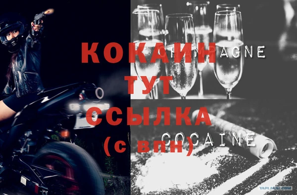 сатива Киров