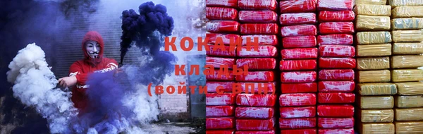прущие грибы Лагань