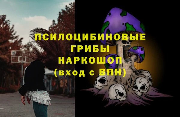 спайс Пенза